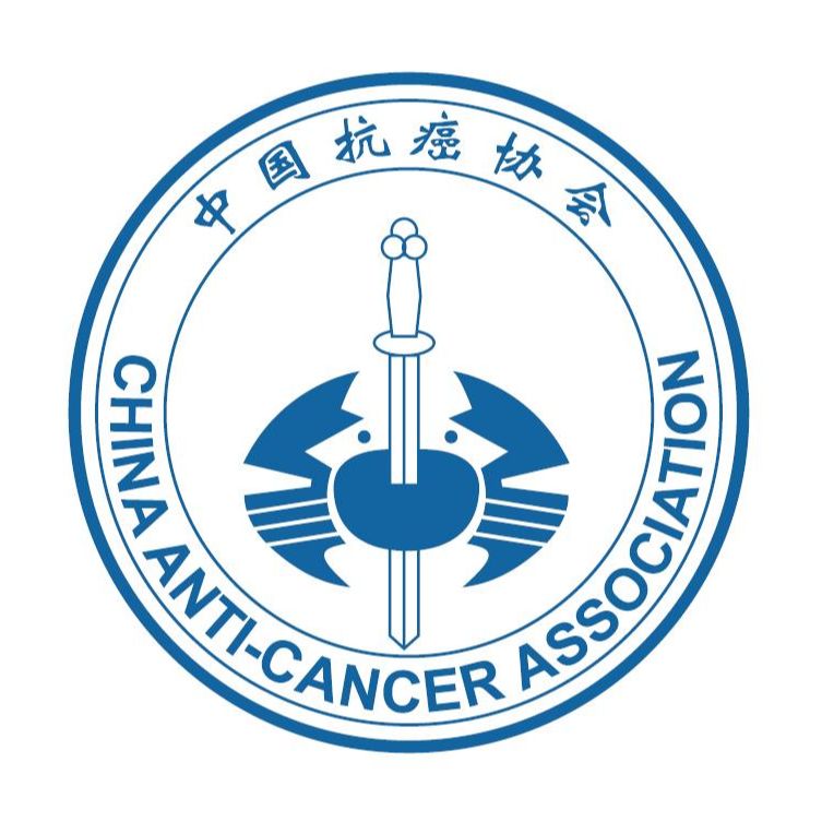乐球直播